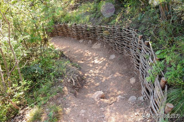 延庆应梦寺（五）：山巅极目收千嶂，林海听风涤尘心