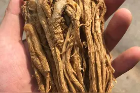 前列腺炎，仅6味药，止痛消炎，药王代表方！图片
