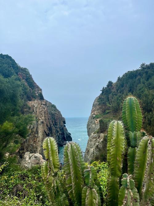 辞职后，我试遍四处旅居，在这六个地方让我把日子过成了诗！
