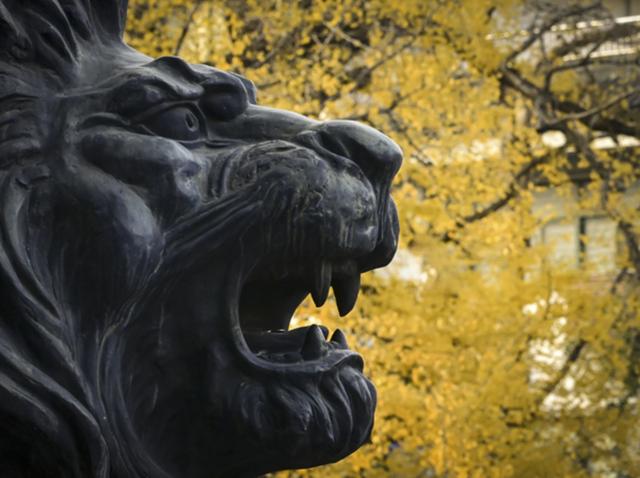 扬州冬韵 银杏鎏金