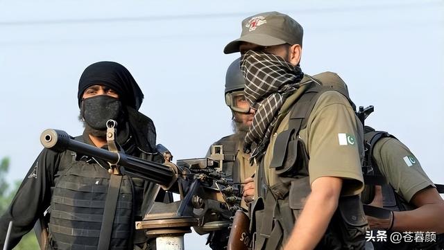 巴基斯坦火速进入战争状态，打不赢这场仗，怕是要“国将不国”？