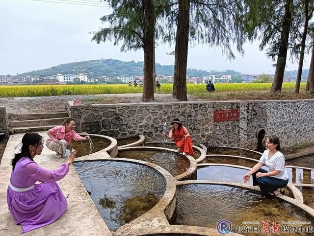 祁东：水杉风景美如画 网红打卡等您来