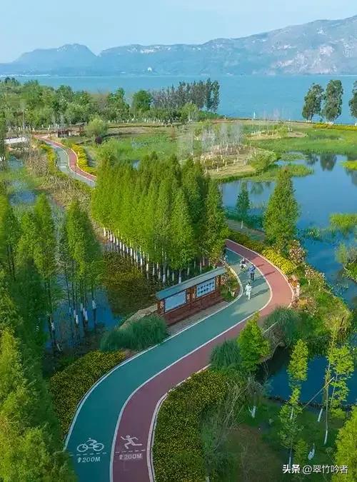 后悔来晚了,地铁直达的免费宝地,遛娃拍照绝佳,周末立刻出发。