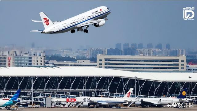 日本红叶季凉透！熊比游客多没人敢去，再加上得罪中国游客亏到哭