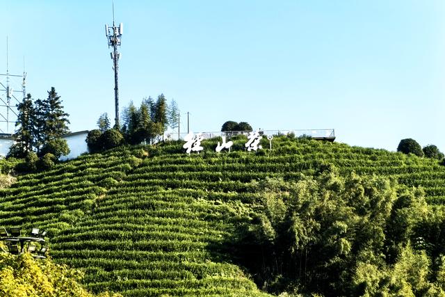 五上径山（游径山寺）