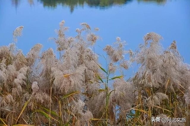 秋天的溢泉湖流光溢彩，将浪漫与温馨装满
