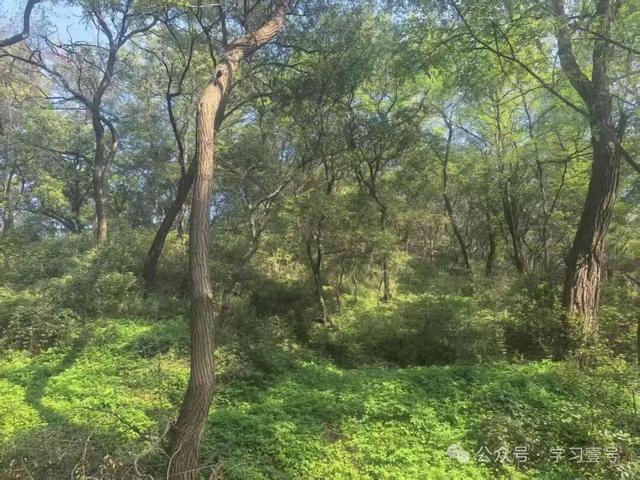 沈阳塔山寻宝记——历史地理视域下
