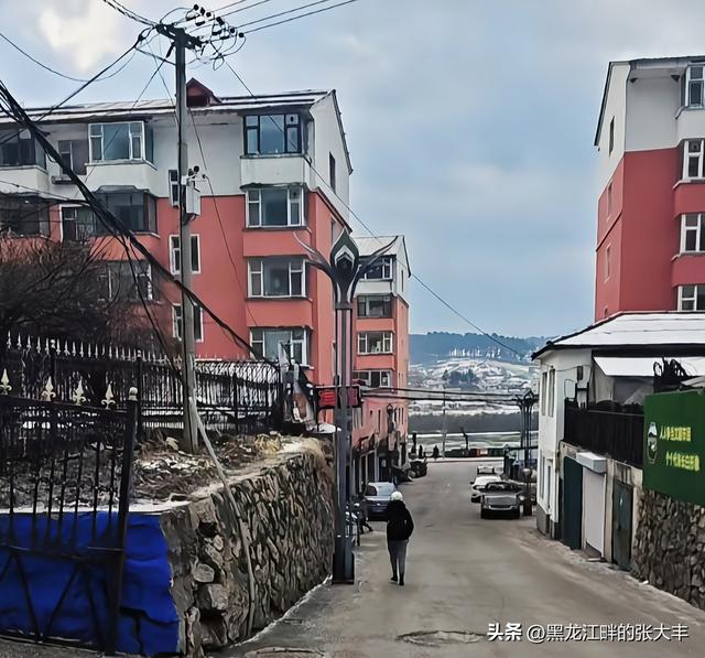 吉林省临江市的小镇上来了大学生