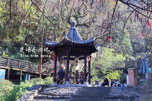 浙江绍兴雪窦岭的水上杉林，被誉为“江南小九寨”，现实却是这样