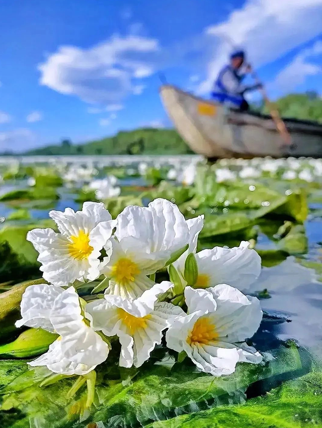什么是转山转海节？九月，到凉山赴一场泸沽湖的“山海之邀”
