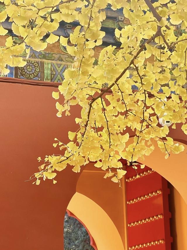 为什么北京的公园要收费？答案可能跟你想的不一样...