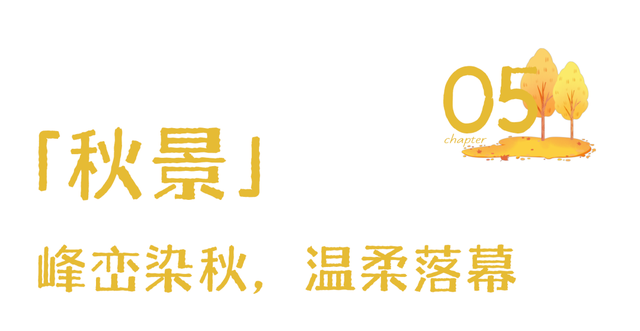 秋天武夷山给你一点颜色瞧瞧