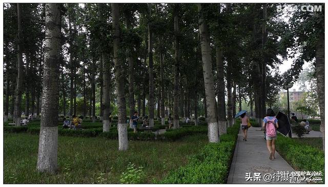 山东行游影记（16）—济南山东大学（三）