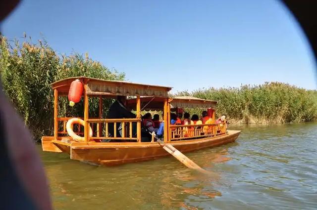 精彩推荐｜李德锋：乌梁素海见闻（散文）