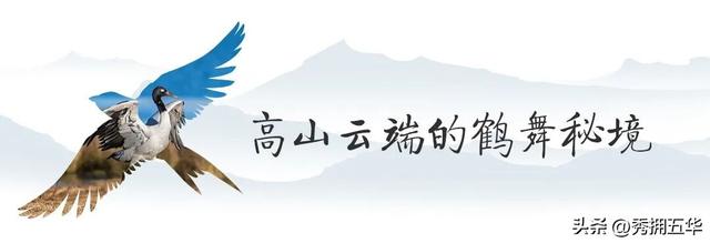 冬之云南 万羽衔霜｜新霞客·旅居记