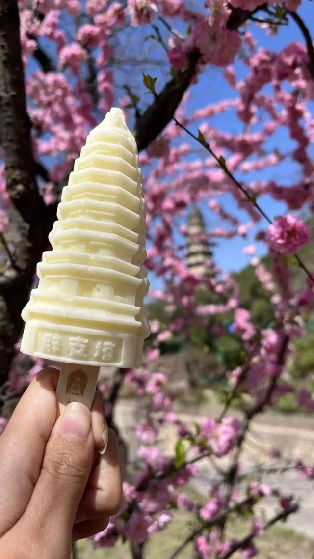 济南市区1h直达的绿野仙踪！古树浓荫+山泉清冽+拍照天堂，一脚踏进21°C的夏天！