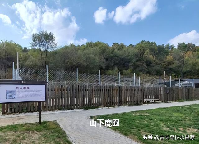 游吉林市小白山，听到了六十八年前荒唐的“讨药”事件