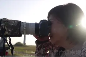 南昌白鹤小雪的曲折回家路图片