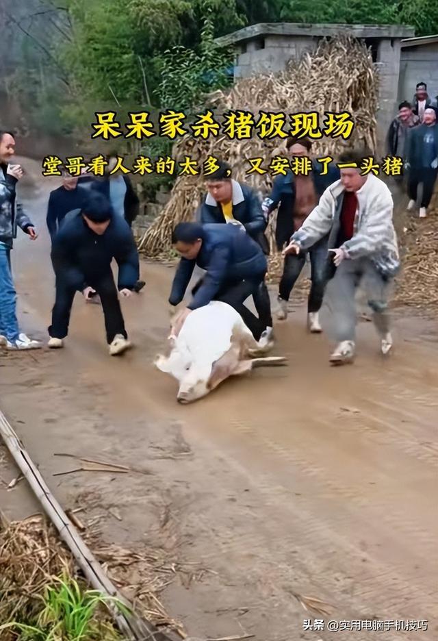 合川刨猪汤火到央视！人民日报点名，恶心事发生	，呆呆网名恐难保