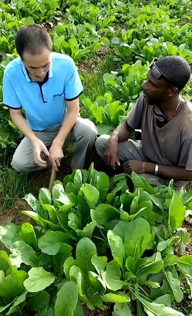 河南小伙在非洲14年，这里一夫多妻，男人只用玩，女人干活地位低
