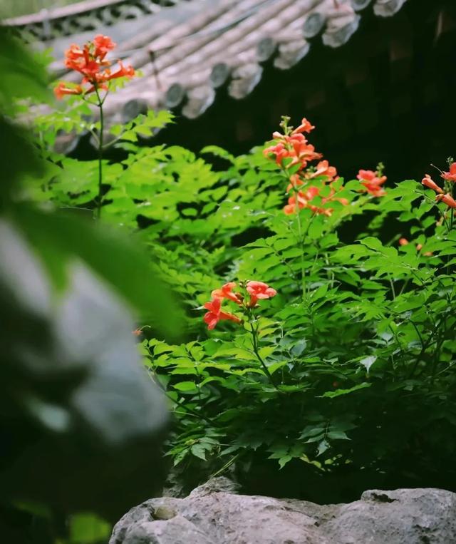 丰台二日漫游指南 | 从园博雅境到南宫汤泉，解锁双重自然疗愈