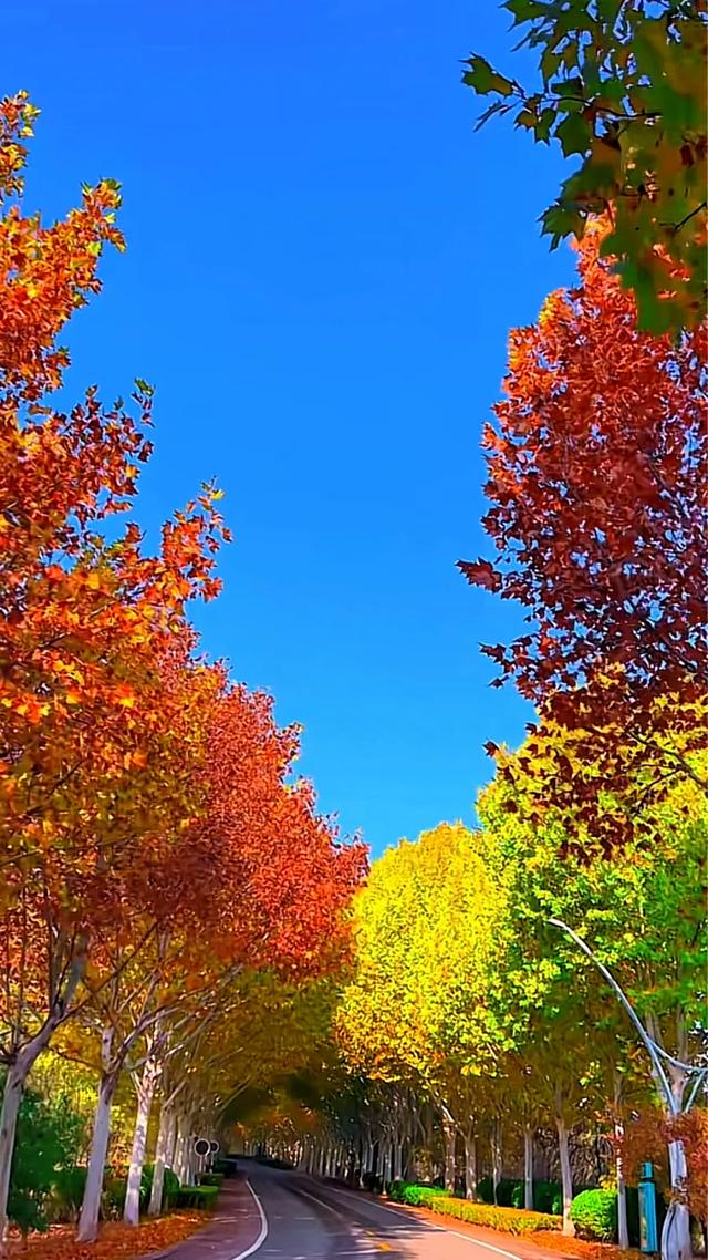 一瞬间的五彩斑斓