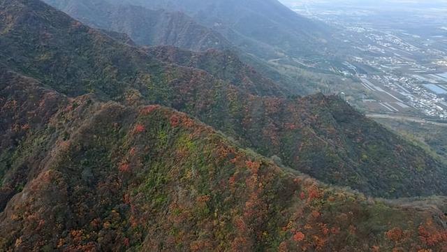 “中国北方第一峡”金龙峡风景区举办红叶节健康徒步行活动
