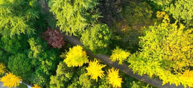 【多图预警！】这里不是5A景区，是鲁南制药！