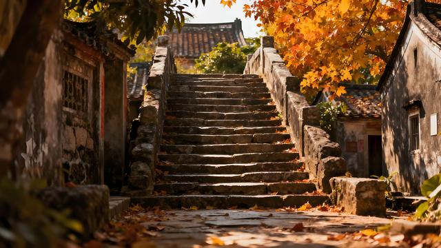 木棉吹雪映琼波，椰影摇风入画幽 —— 海口清秋寻梦录