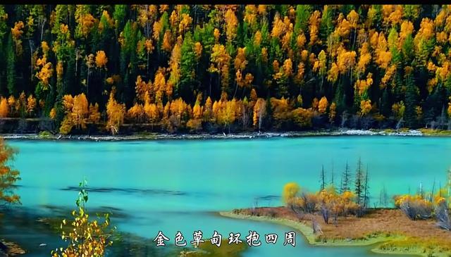 喀纳斯才是秋景顶配！入秋过后的这里，藏着全年最浓的色彩暴击