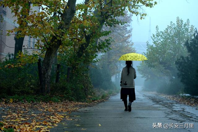 蓝田辋峪，触摸王维的银杏