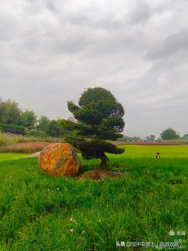 秋雨中的汉中湿地