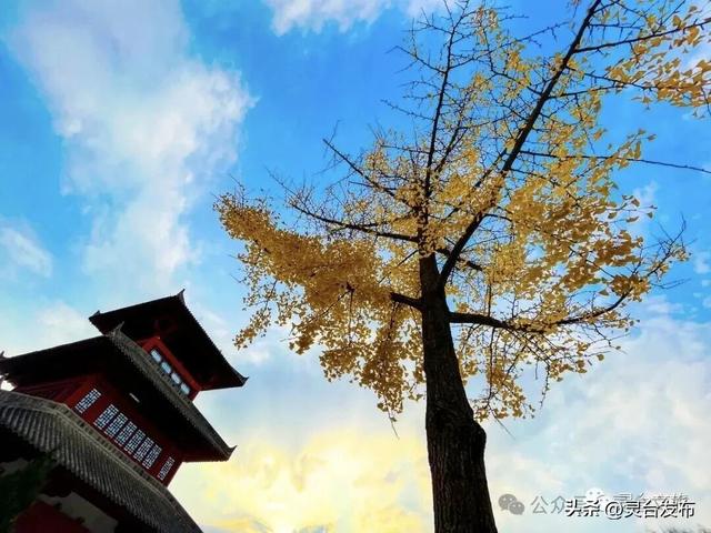 灵台A级景区全攻略，邀您共赴一场冬日康养之约