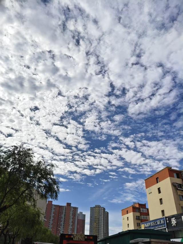 我总结了一下老年夫妻的现状，赶紧来对照一下，看看有你的影子吗