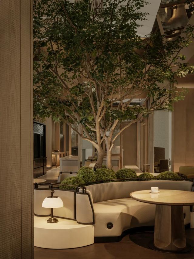 CCD | 雲間憩所，心靈驛站​