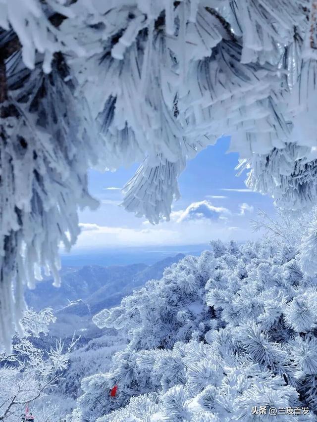 好客山东好品山东｜初雪来了！山东变山“冬”