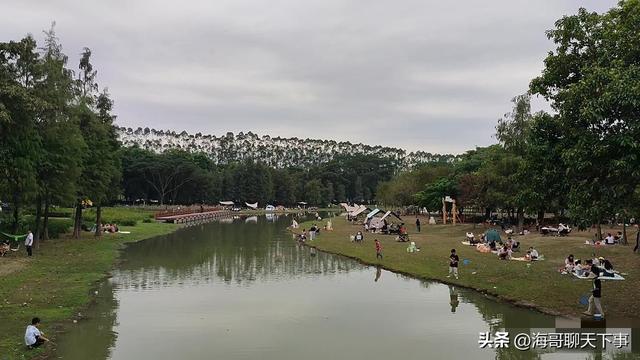 11月中小学5天假引爆出行潮！机票暴涨2倍，北京西安成顶流。