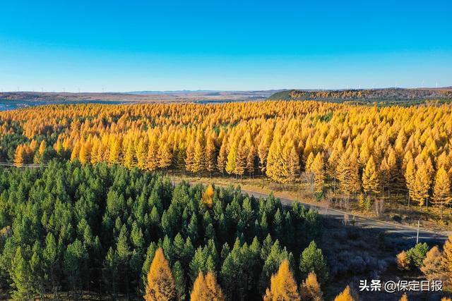 假期不宅家丨每一帧都是心之所向，来河北草原纵享天地辽阔→