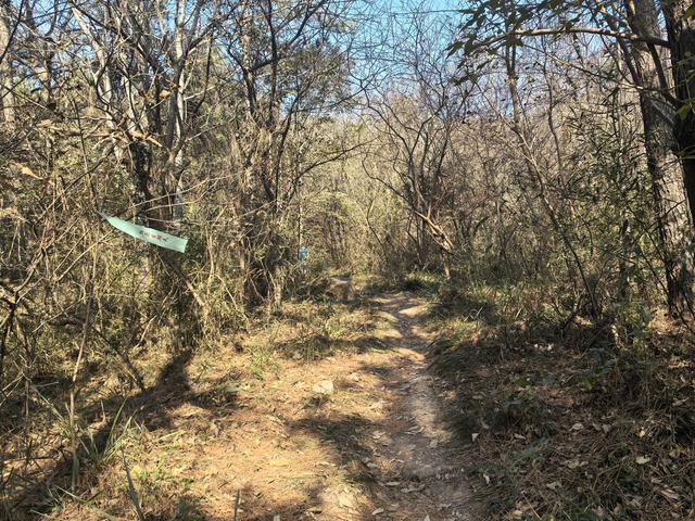 南京第二次到镇江武岐山空青山郊野徒步