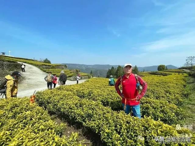 藏于浙江5A景区内有一处“十里铁甲龙”,洞穴众多形态奇特