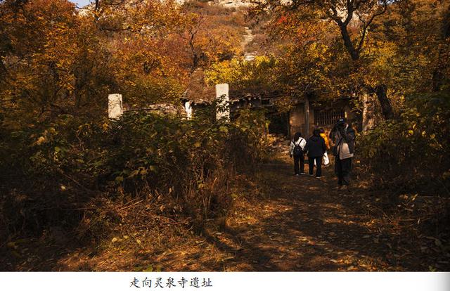 吴秀成：金秋探寻灵泉寺