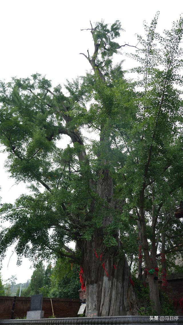 去了晋城才知道,原来古建筑如此丰富,这一站泰山以外唯一的岱庙