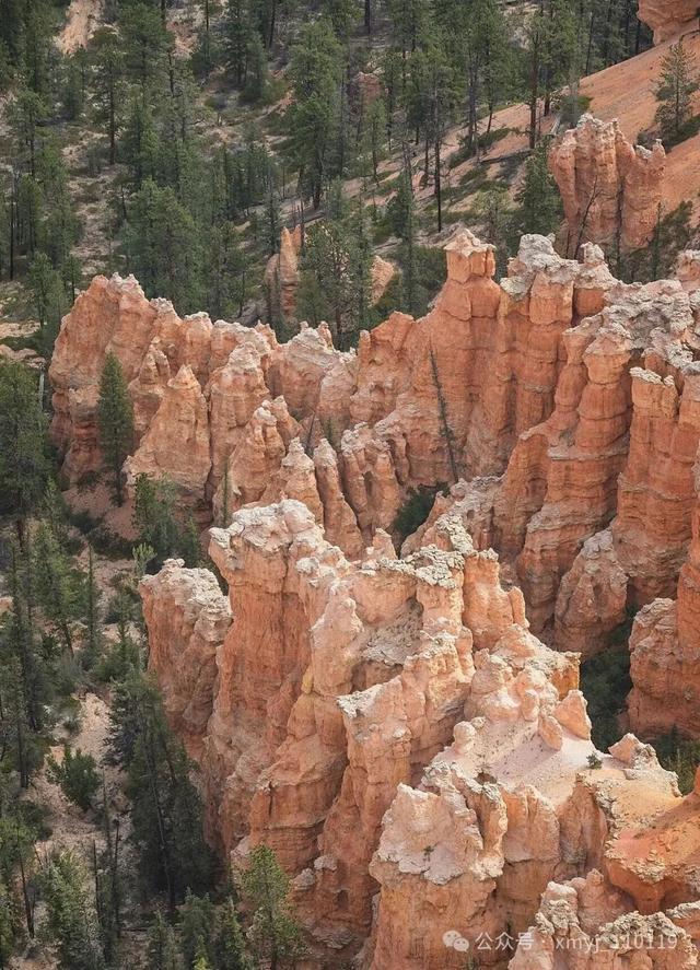 历城,你到底经历了什么?