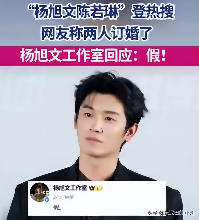 关系藏不住了！奥运冠军陈若琳放着霍启山不选 ，原来她喜欢这样的