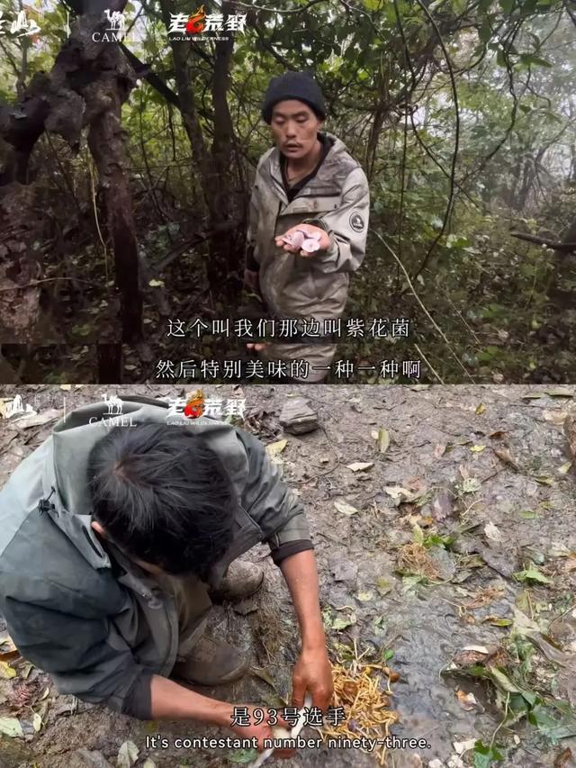为了治疗精神内耗	，他们脱下长衫去山里当起了野人