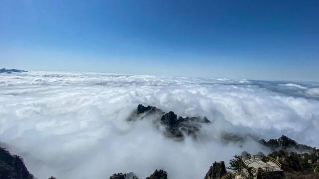 翻滚吧，云海！老君山巅，坠入人间仙境