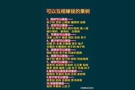 可以互相嫁接的果树，涨知识了，一定牢记。图片