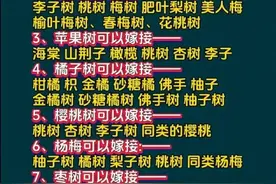 可以互相嫁接的果树，涨知识了，一定牢记。图片