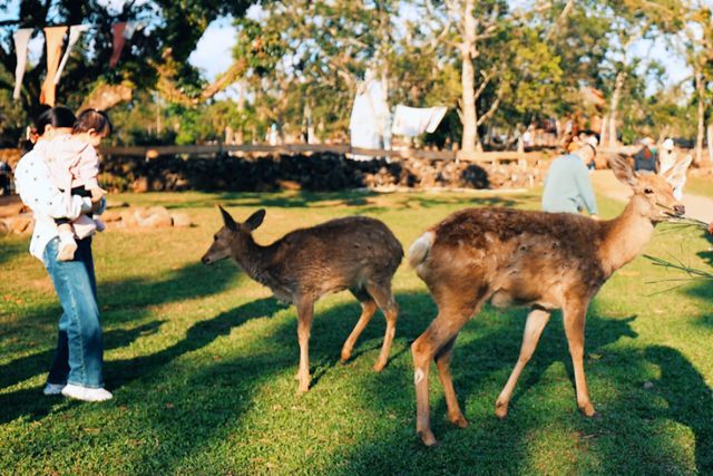 暖冬海口 入选避寒游热门目的地TOP10