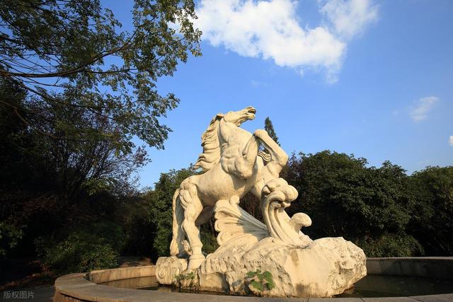 南京紫金山六条爬山路线全攻略：轻松登顶与绝美风景任你选！